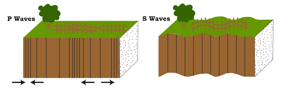 A diagram showing P-waves and S-waves traveling through the Earth's crust.